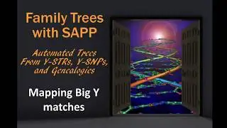 SAPP - Mapping Big Y Matches