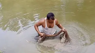 Village People Fishing with a cast net | Best Net Fishing 2020 #fishingbdGo