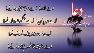 Dua For All Muslims | With Urdu Lyrics | Dua Islamic Voice