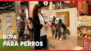 Ropa para Perros 🐶🌧【Abrigo, jersey y chubasquero para perros】