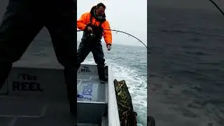 ⚓ Hauling a MONSTER Halibut from the Deep! Pacific Ocean