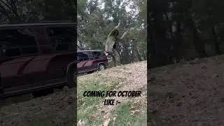 Coming for October like &hellip; #wook #funny #autumnfestival #dubstep #halloween