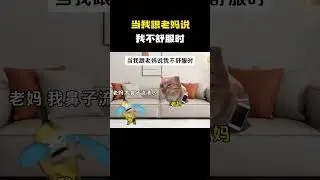 当我跟老妈说我不舒服时 #猫meme #内容过于真实 #funny