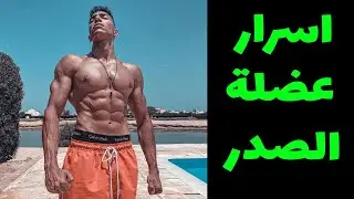 ٤ اسرار لعضلة الصدر /  جسم فيتنس طبيعي / إزاي تضخم/ Vlog