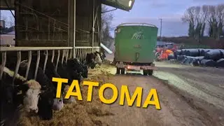 Кормление, подстилка, уборка конюшни, подготовка ипподрома и перестановка техники.