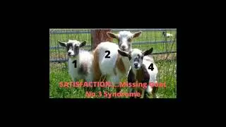 The Missing Goat, 