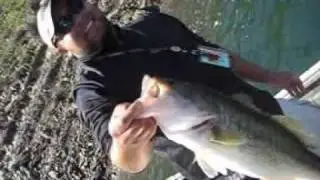 Light Line Finesse Bass Fishing at Diamond Valley