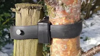 Don't forget your tree stakes
