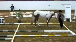 Open In-Hand Trail - 2010 APHA World Show - with judges score sheets