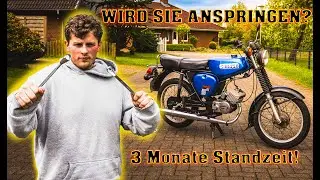 Bekommen wir sie zum LAUFEN?!  //  Putzen + Reparatur