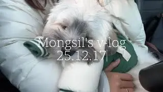 꼬똥이 VLOG.9 upload / 몽실이네 주말_광주 할머니집 놀러가기 / 아빠 미용실 따라가기 / 몽실이네 데일리 브이로그 / 7개월 꼬