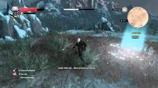 Witcher 3: Final Fight With Eredin