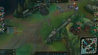 chinese phantom ladder insec