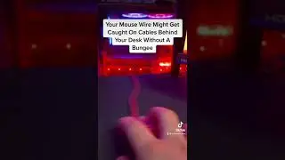 Стоят ли Mouse Bungees своих денег?