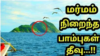 மர்மங்கள் நிறைந்த பாம்பு தீவை பற்றி தெரியுமா? | Mystery about snake island in tamil | history epi 10