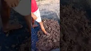 পেকুয়া, কক্সবাজারের পুষ্টিকর খাবার নাপকি তৈরী হচ্ছে