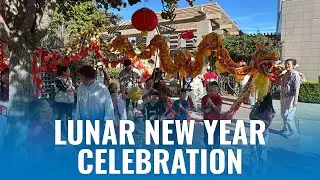 Lunar New Year Celebration