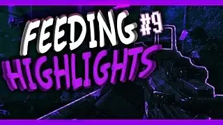 SPLIT BO1 QUAD SKEWER!? (highlights)