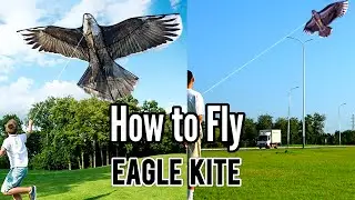 How To Fly Eagle Kite | Eagle Kite Flying Test