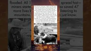 THE DOG WHO HEARD MOUNTAINS DYING 🐶❤️