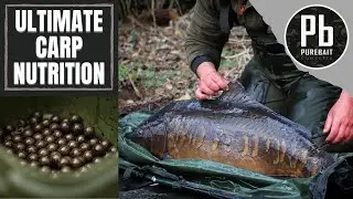 CARP FISHING BAIT with a difference ~ Pure Bait Concepts Vitamino B+