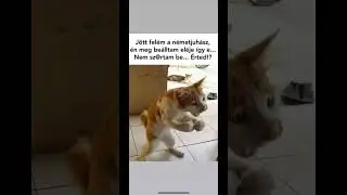 Nem szartam be csak egy kicsit