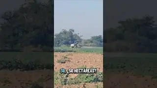 como me gustar&iacute;a saber como le hac&iacute;an antes los agricultores para labrar la tierra.