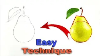 How to draw objects outline | How to draw stealife beginners