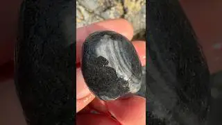Black waterline agate 🖤 Oregon Coast #agates #agate #agatehunting #rockhounding #rockhound