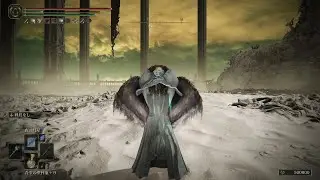 【ELDEN RING】 ミケラの王、ラダーン 純魔ソロ ノーダメ【DLC】