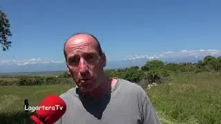 Perro Carea Castellano Felix Garcia Secretario Sociedad Canina le&oacute;n