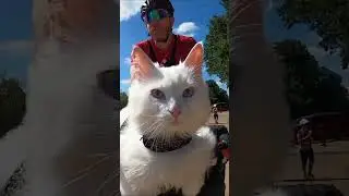 Have you heard of the London Cycling Campaign?  #cat #charity #cycling