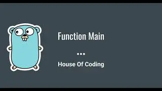 Golang Tutorial for Beginners - Function Main in Golang