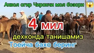 Чирокчи мол бозори От Бия боетал 30,06,2025 Совдо еку шошиламиз дехконда танишамиз 