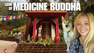 Land of Medicine Buddha Drive | Hidden Redwoods Sanctuary in Soquel, California