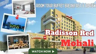 Radisson Red Mohali | Room Tour & Honest Review | Breakfast Buffet