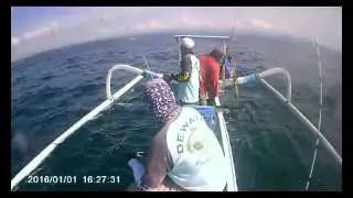 Dewata Fishing