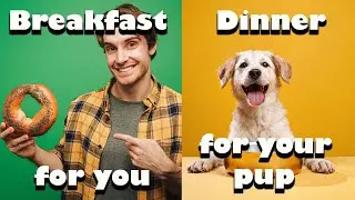 Homemade for You & Your Pup! 🥯🐾 Bagels & Dog Food from Scratch