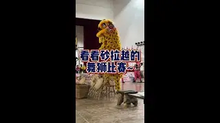 2022年全砂龙狮武术分龄赛~