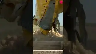From Field to Fork | Potato Harvesting and Farming