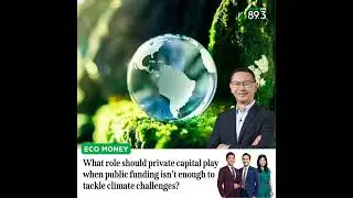 Eco Money: What role should private capital play when public funding isn&rsquo;t enough to tackle clima...