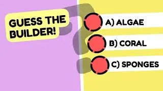 Test Your Knowledge! Fun & Fast Coral Reef Quiz 🌊🐠 #OceanTrivia #shorts