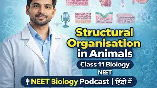 Structural Organisation in Animals | Class 11 Biology | PODCAST 