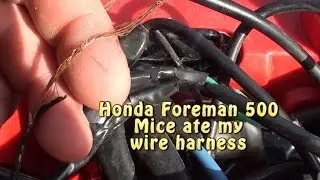 Honda Foreman. Mice ate my wire harness. Permatex liquid black tape