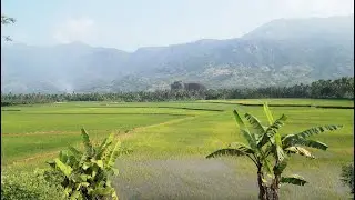 Scenic places in green Nagercoil - Mountains, Coconut trees, paddy fields, turquoise beaches