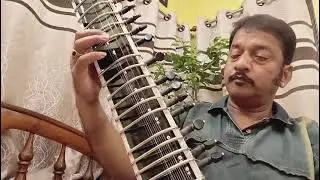 Roja Janeman (Kadhal Rojave) on Sitar | A.R. Rahman | by Biswabimohan Adhikary