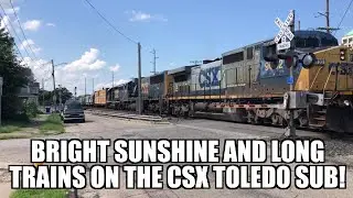 Bright sunshine and long trains on the Toledo Sub!