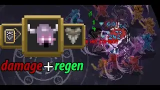 REAL PHANTOM ARMY In Wizard Of Legend! Damage + Regen Build