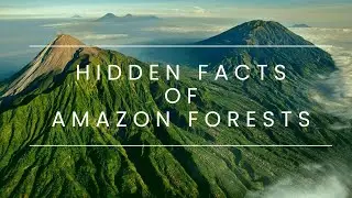 Uncovering the Shocking Truth Behind the Amazon Forest!