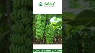 Agroworld Expo 2026 Burhanpur | 26th Edition | Best Platform for Agri Companies & Manufacturers